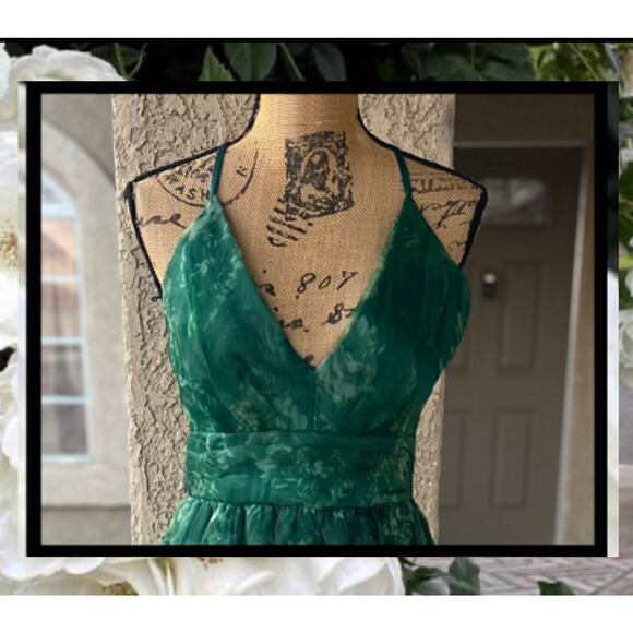 Lulus Romance That Wows Dark Green Floral Print Organza Maxi Dress Size S - Picture 3 of 14